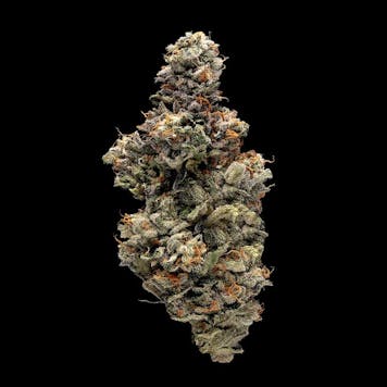 Photo of Bakers Delight