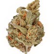 Product image for Prime Sunshine Suver Haze CBD flower