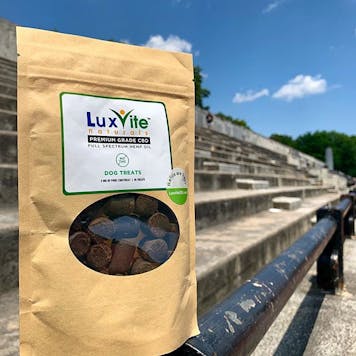 Photo of CBD Dog Treats