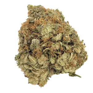 Photo of MK Ultra