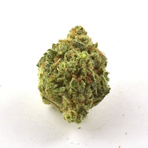 Photo of Jazz Flower