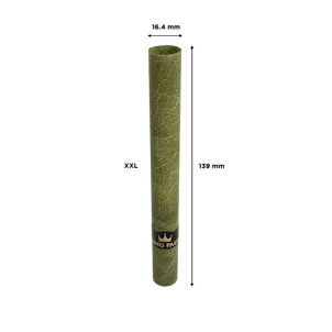 Photo of XXL – 5 Rolls