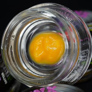 Photo of Zelato Kush Breath Batter