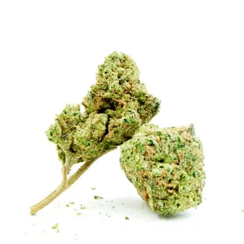 Photo of Candy Kush Feminized