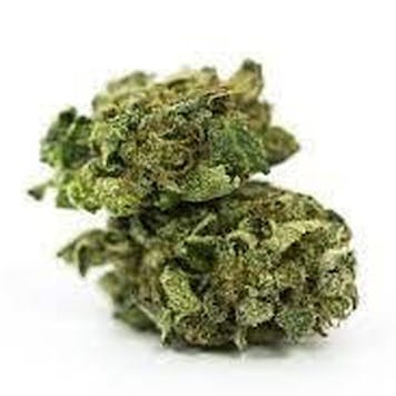 Photo of AUTO STAR SEEDS