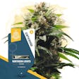 Product image for Northern Lights Feminized by Zamnesia Seeds