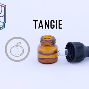 Photo of Tangie Cannabis Terpenes 1mL
