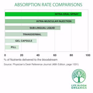 Photo of 99% Pure CBD Wellness Intra Oral Spray