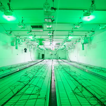 Photo of FOR SALE: Licensed, & Profitable Dispensary + Cultivation, Manufacturing & Distribution Facility