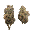 Product image for Jungle Juice THCA Flower