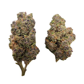 Photo of Jungle Juice THCA Flower