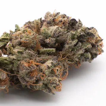 Photo of Lava Cake THCa Flower - Hemp-Flower.com