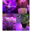 Product image for Indoor Hydroponic Growing System - H601-C