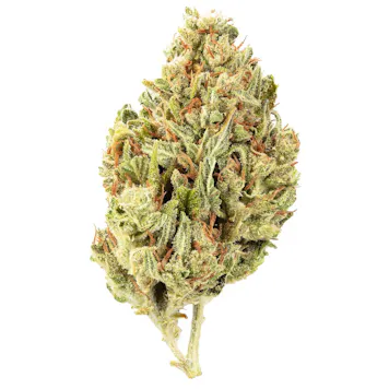 Photo of Sour Diesel by Clover Valley Ranch | Silver (7g)