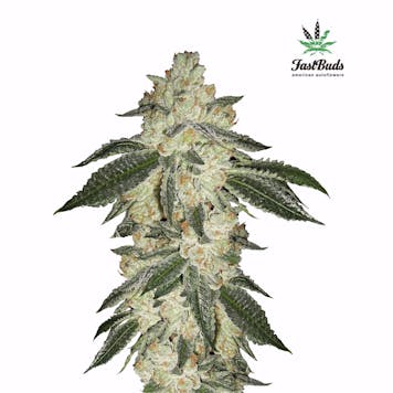 Photo of Green Crack