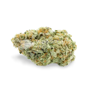 Photo of CBD Critical Mass Feminized Seeds