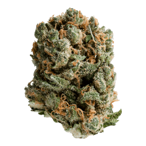 Photo of HEXO Plus Atlantis