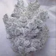 Product image for White Widow Fem Seeds