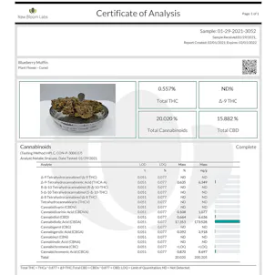 Photo of Blueberry Muffin Indoor-Grown CBD Flower (15.8% CBD)