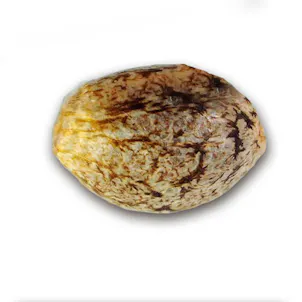 Photo of Critical Sensi Star