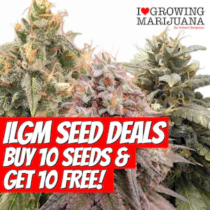 Photo of Get 10 Free Seeds