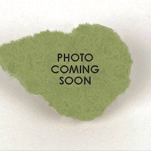 Photo of Jerry's Breath