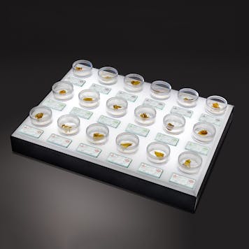 Photo of Xtract Elite™