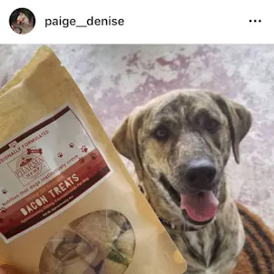 Photo of CBD Oil Bacon Biscuits - Pet Treats 4oz 100mg CBD