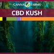 Product image for CBD Kush