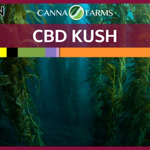 Photo of CBD Kush
