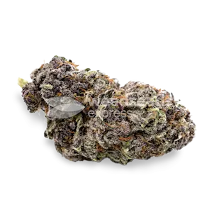 Photo of Purple Punch Feminized Seeds
