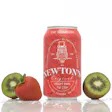 Product image for Sir Newton's Soda Kiwi Strawberry 10mg