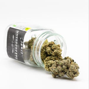 Photo of Motor Breath #15