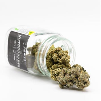 Photo of Motor Breath #15