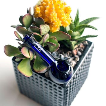 Photo of 4" Cobalt Blue Spoon | Jane West x Grav Labs