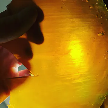 Photo of Sunset Sherbet Pull N Snap