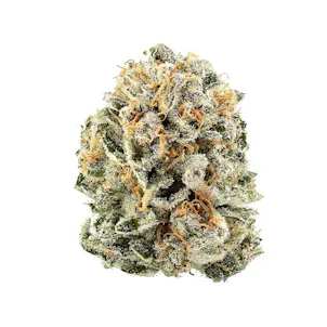 Photo of Lilac Diesel