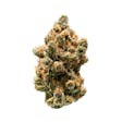 Product image for Gelato Punch | 3.5g