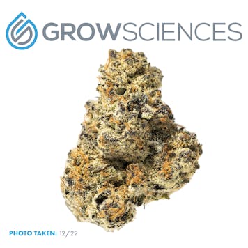 Photo of Apple Fritter (3.7)