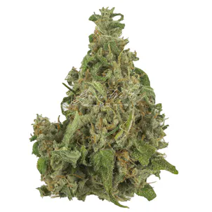 Photo of Cherry AK-47 Untrimmed | Silver