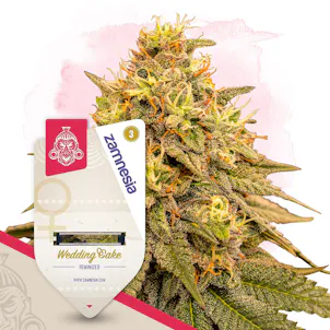 Photo of Wedding Cake Feminized by Zamnesia Seeds