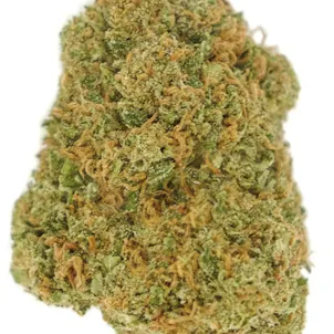 Photo of Prime Sunshine Rouge Lifter CBD Flower