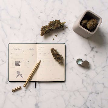 Photo of The Grow Jotter: A Cannabis Grower's Journal