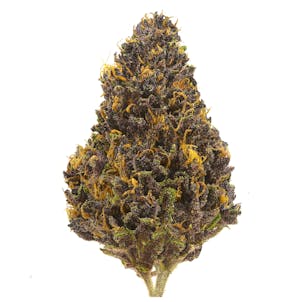 Photo of Purple Wildfire