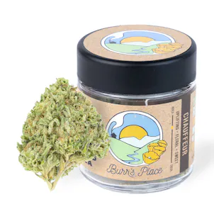 Photo of Chauffeur - 3.5g Jar