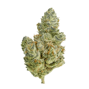 Photo of Orange Velvet Underground RBX Premium Flower