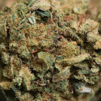 Photo of Green Candy