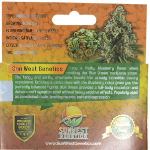 Photo of Blue Dream Cannabis Seeds by Sunwest Genetics