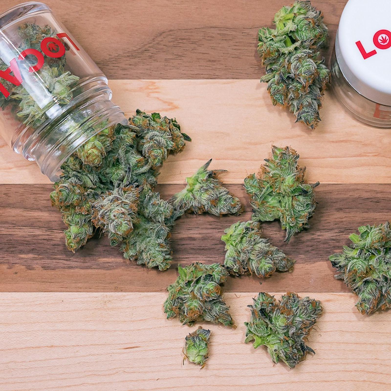 Local Flower Mac Daddy Flower Leafly