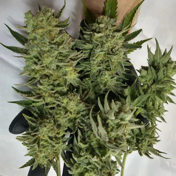 Photo of White Tygh Dream